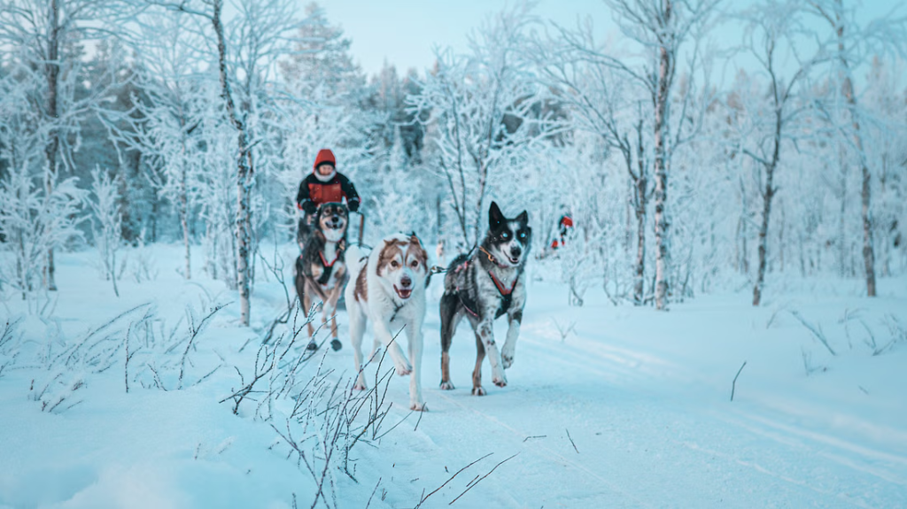 kuva_2025-06-10_134703724