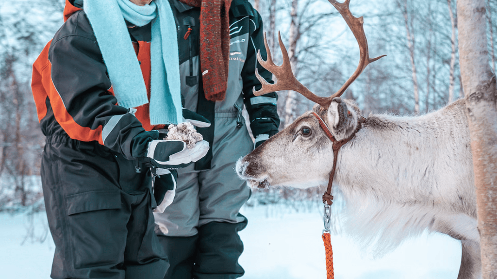 kuva_2025-06-10_134808186