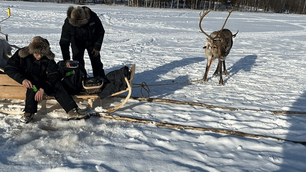 kuva_2025-06-10_142934847