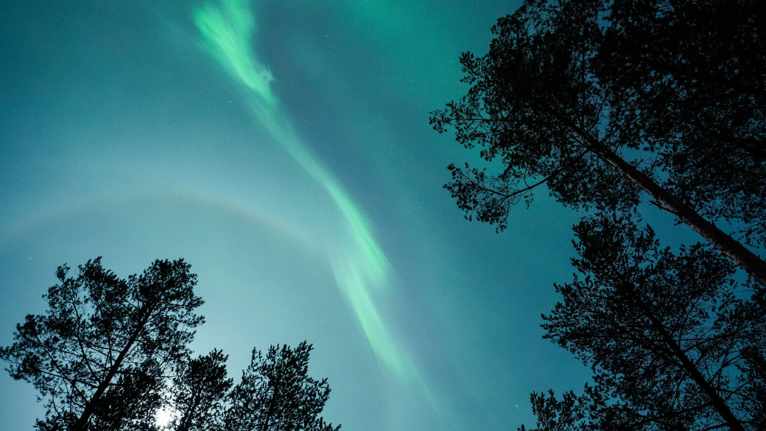 Hidden places to see Lapland northern lights – top aurora spots