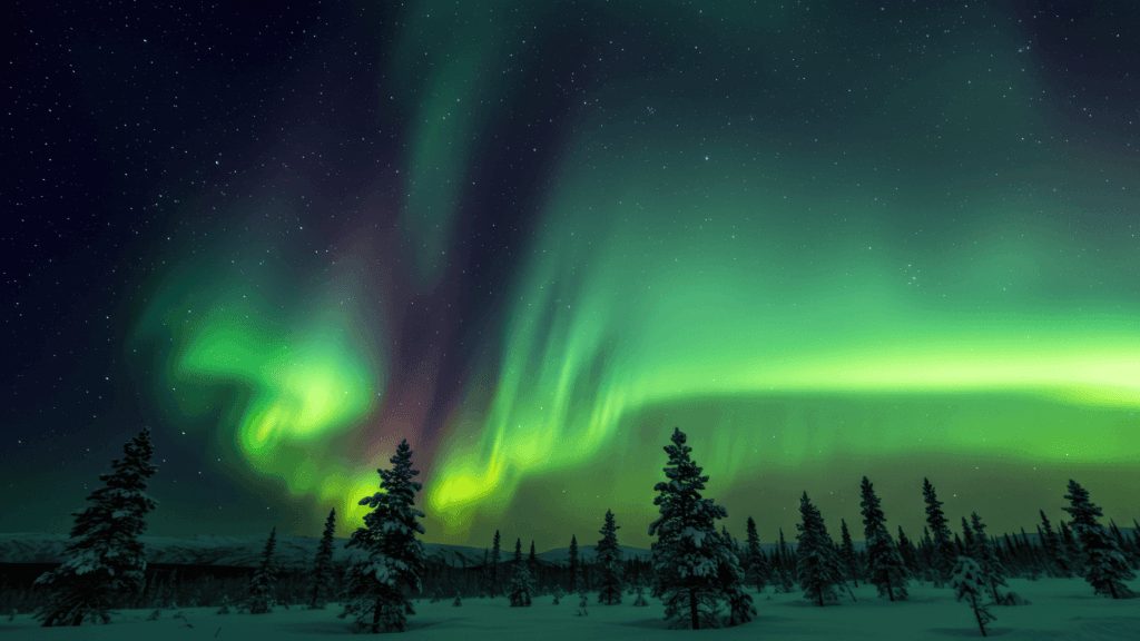 Can you see the Northern Lights in Lapland in December?