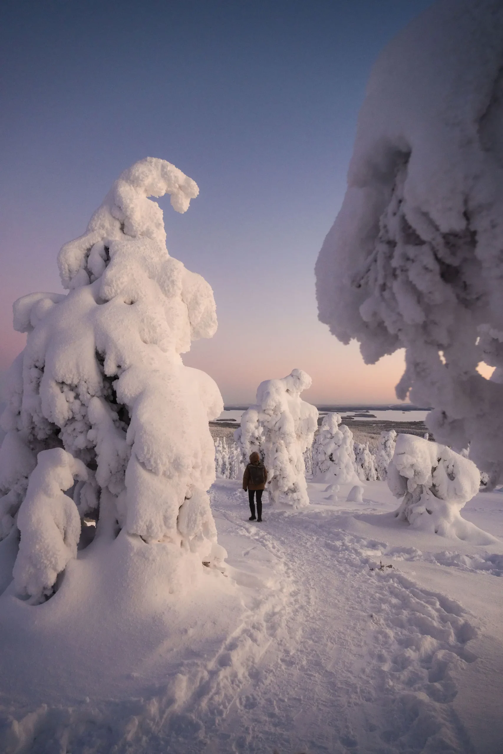 Riisitunturi Snow Monsters Winter Hike from Rovaniemi