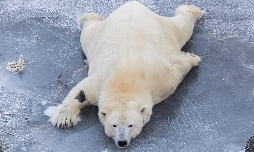 kuva_2025-06-10_122051949 (1)