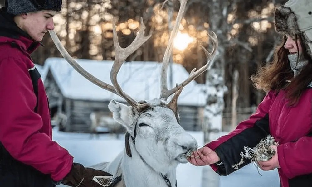 kuva_2025-06-12_095159579